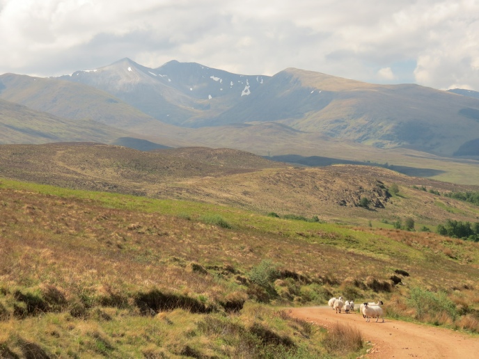 Just one of the views available on a short walk up Glen Roy from our cosy log cabin hideaway